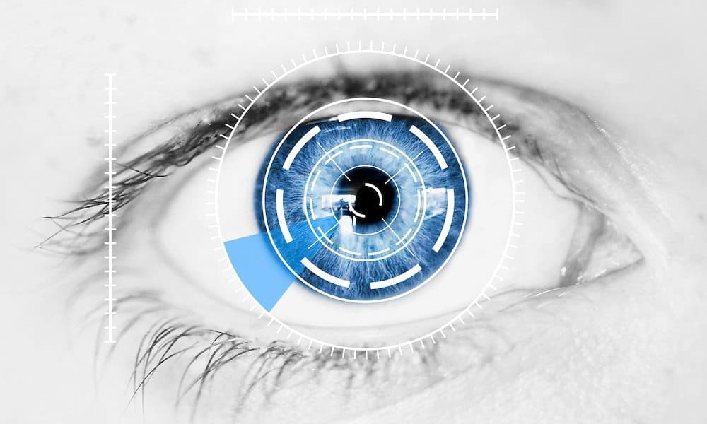 Retina scanning software Retina scanning software